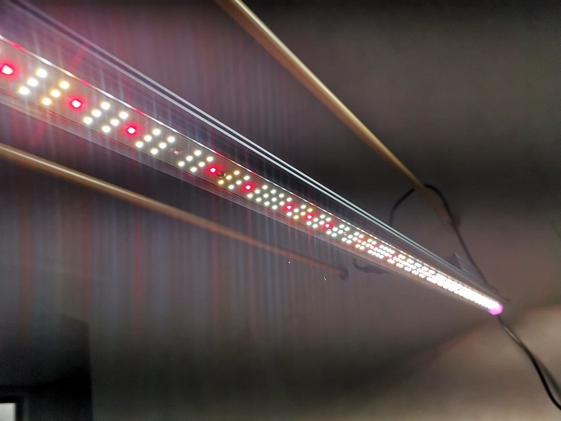 ライト・ランタン Helios Green LED HG-PUP Helios Green LED 目的・用途別シリーズ 購入ページ - 株式会社JPP