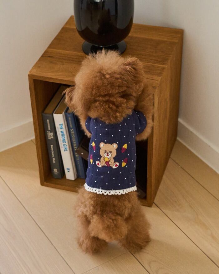 予約【eomuk】Bear Dot Loose Fit T-Shirt
