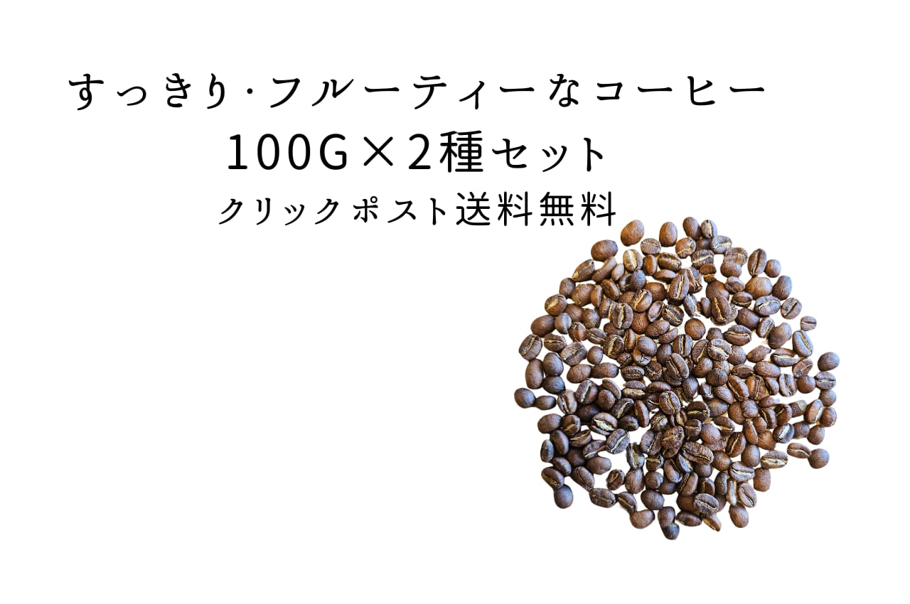 【クリックポスト送料無料】すっきり・フルーティーなコーヒー100g×2種セット