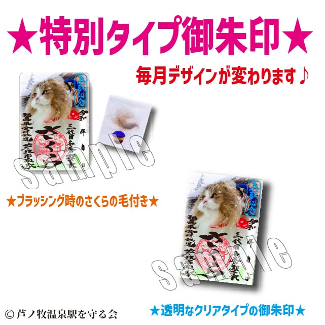 2026年2月22日 ねこの日 記念御朱印 | Station Master Cat