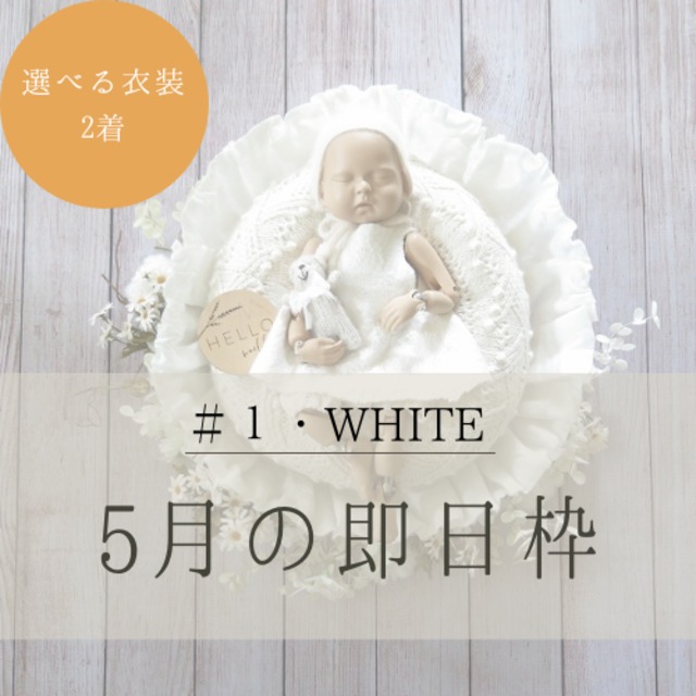 【即日枠・5月25日着】#1/WHITE