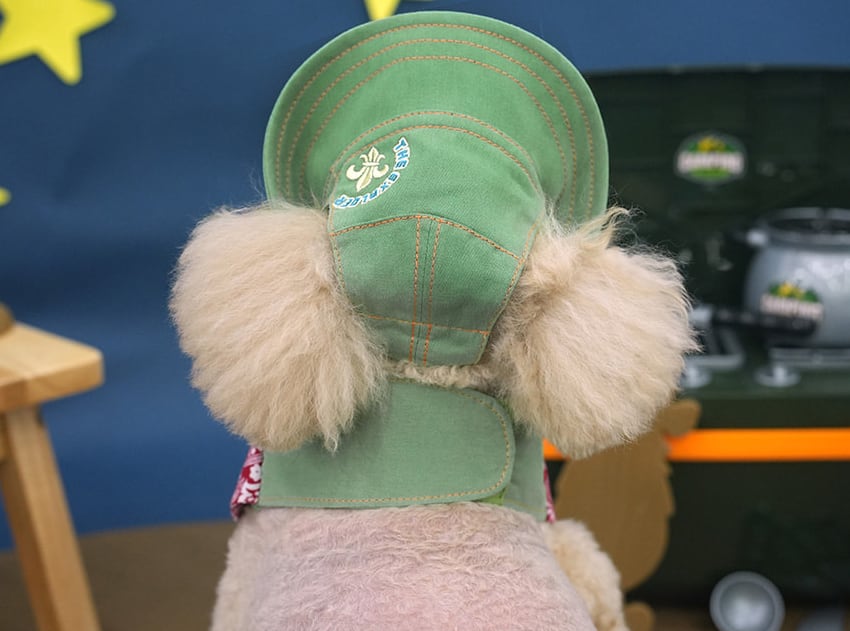 outdoor scarf & hat set 2color / 犬用 帽子 ケープ バンダナ cape スカーフ アクセサリー ドッグウェア ペット用 cap 被り物 お揃い 撮影会 インスタ映え 小型犬 お出かけ キャップハット ban20