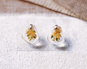 秋限定｜The Bouquet｜Kinmokusei｜Mini