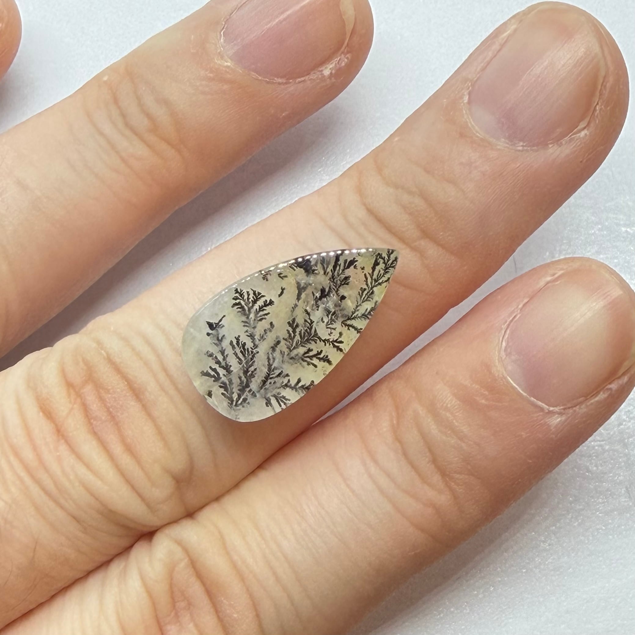 冬景色　デンドリティッククオーツ