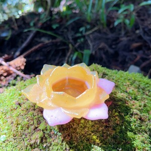 天から舞い降りた蓮の花のうつわ（花輝）