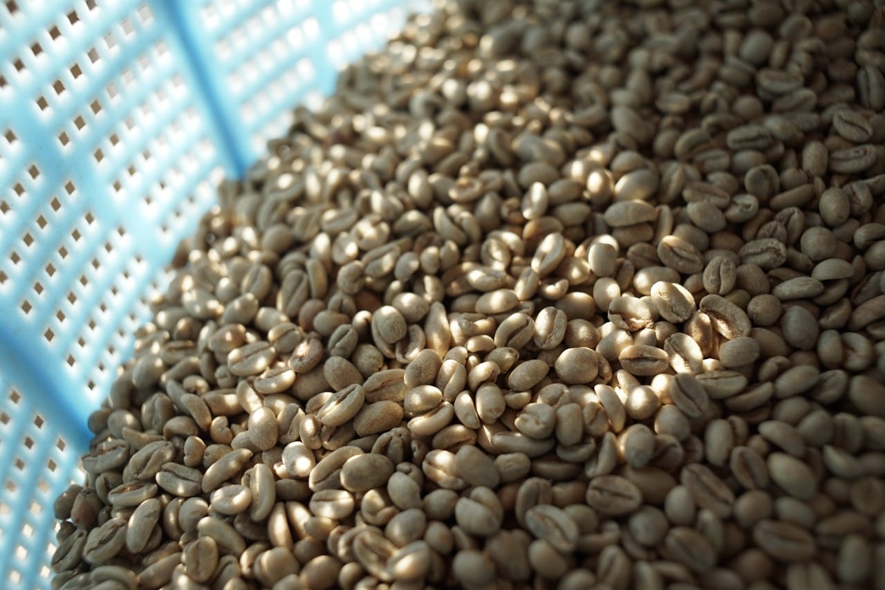 タンザニア キリマンジャロ｜200g コーヒー豆【フルシティロースト