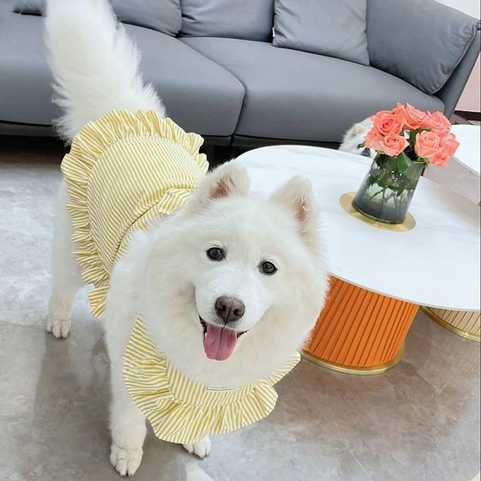 受注生産 3XL~6XL 大きめリボンと裾のフリルが可愛い ストライプドレス