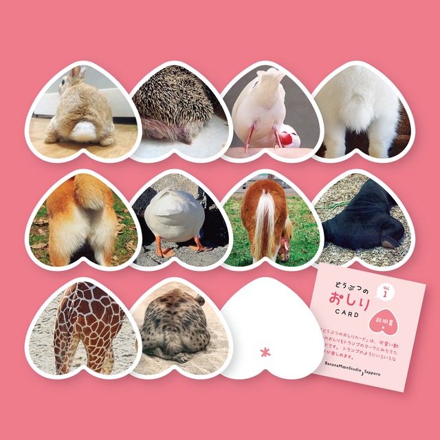 どうぶつのおしりcard カードゲーム Dobutsu No Oshiri Cards Card Game バナナぷにぷに堂 ゲームストアー Banana Punipunido Game Store