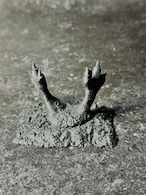 Hell's Crow ー地獄の爪ー