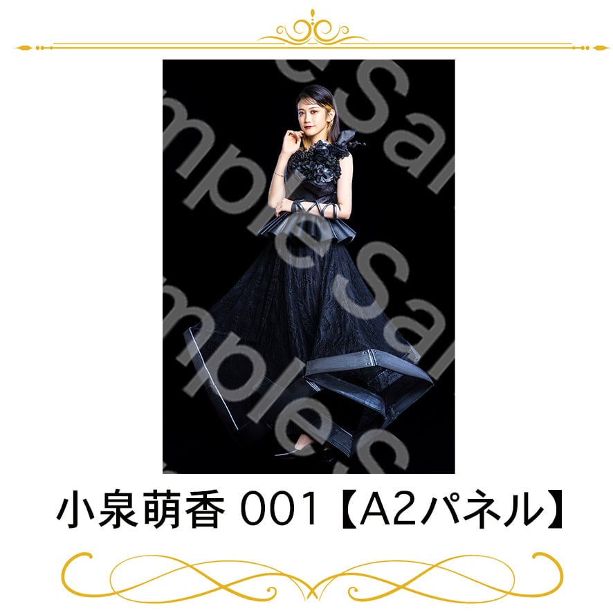 小泉萌香 女勇展 展示パネルA2サイズ 小泉萌香 女勇展 展示パネルA2サイズ