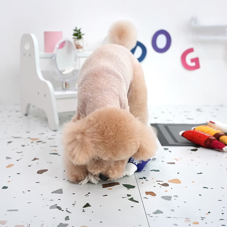 funny tube rope toy 4color / 犬 おもちゃ ロープ トイ 犬用 カシャカシャ 噛む 音が鳴る 鳴き笛入り 可愛い わんちゃん おもちゃ ストレス解消 韓国 ペット用品