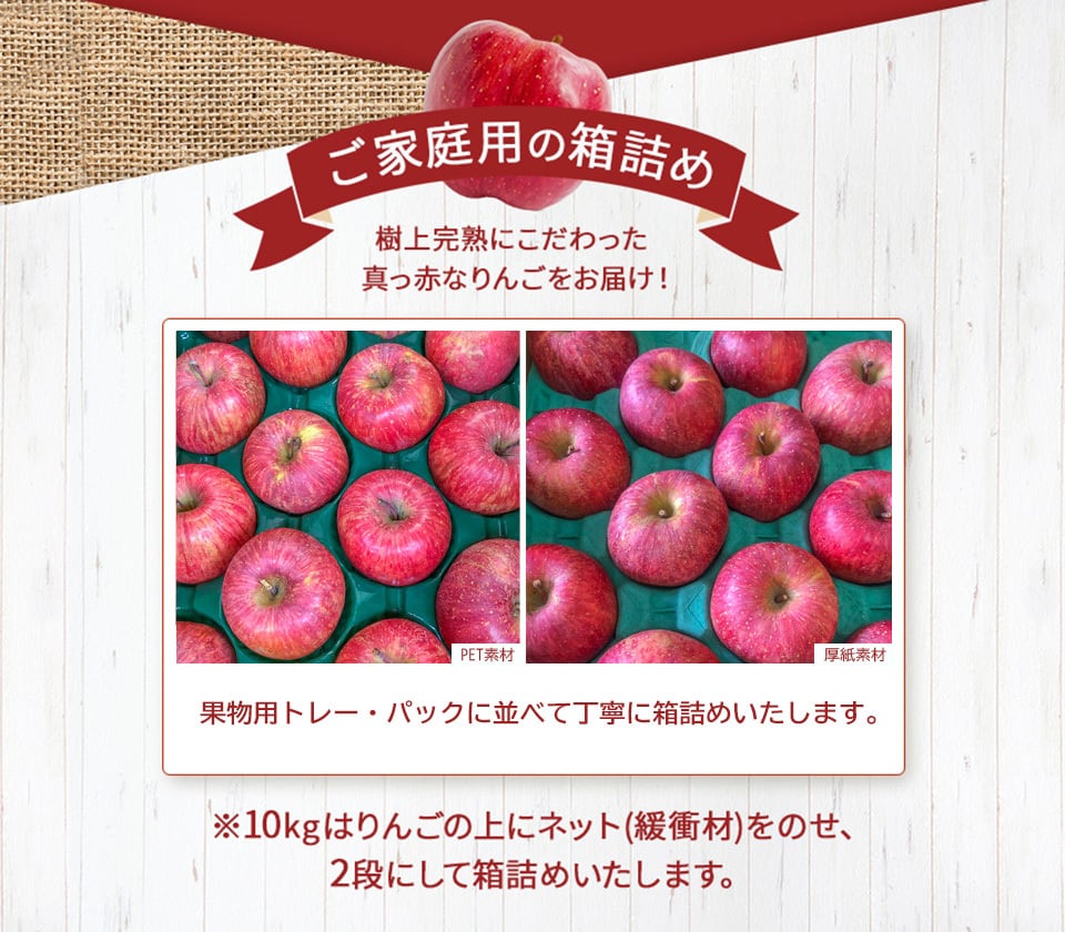 【家庭用・訳あり】りんご サンふじ 5kg
