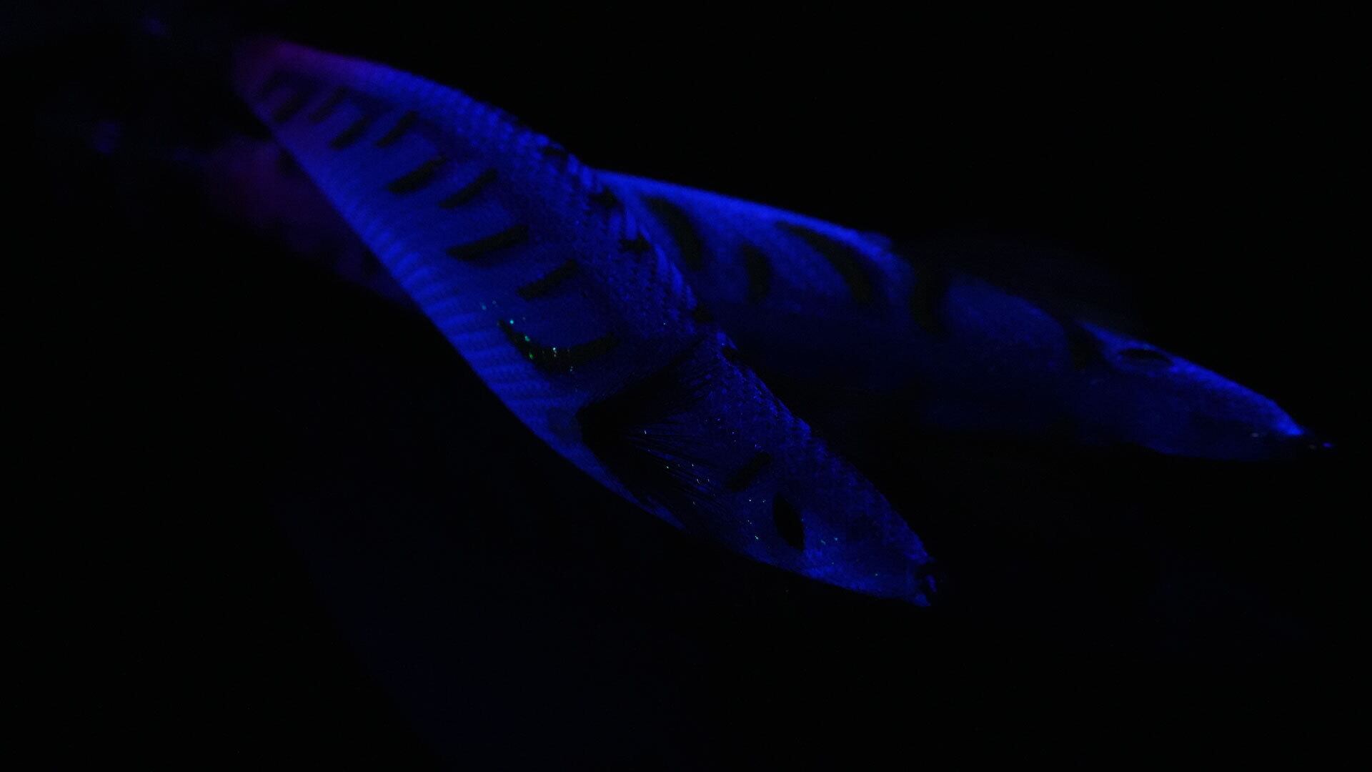 04)CROW3.5 ワンダブルー | EMBER MAZE official shop