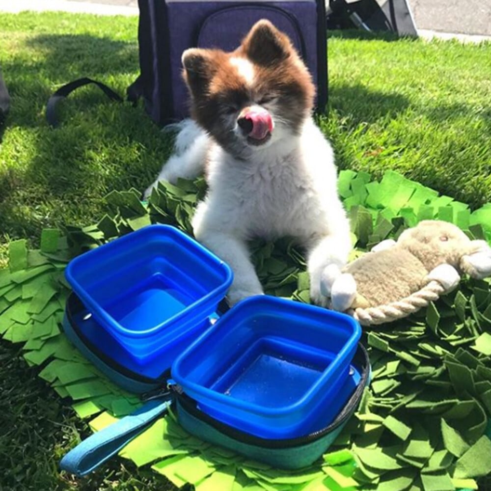 Petique ペティーク ポルタボウル 携帯用 フードボウル 餌入れ 水入れ