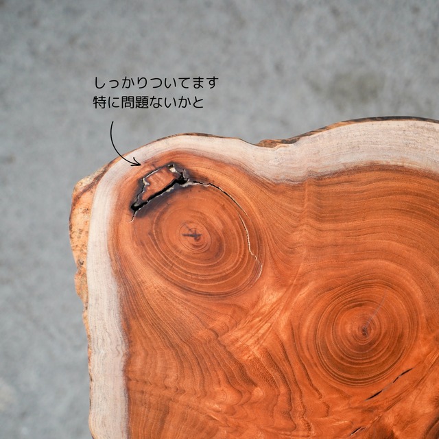 欅の一枚板 肉球みたいな形のコーヒーテーブル（高さ・カラー変更無料）