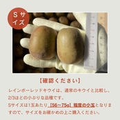 ＜10月下旬より順次発送＞【産地直送】レインボーレッドキウイ　Sサイズ 約5kg(約80〜90個)
