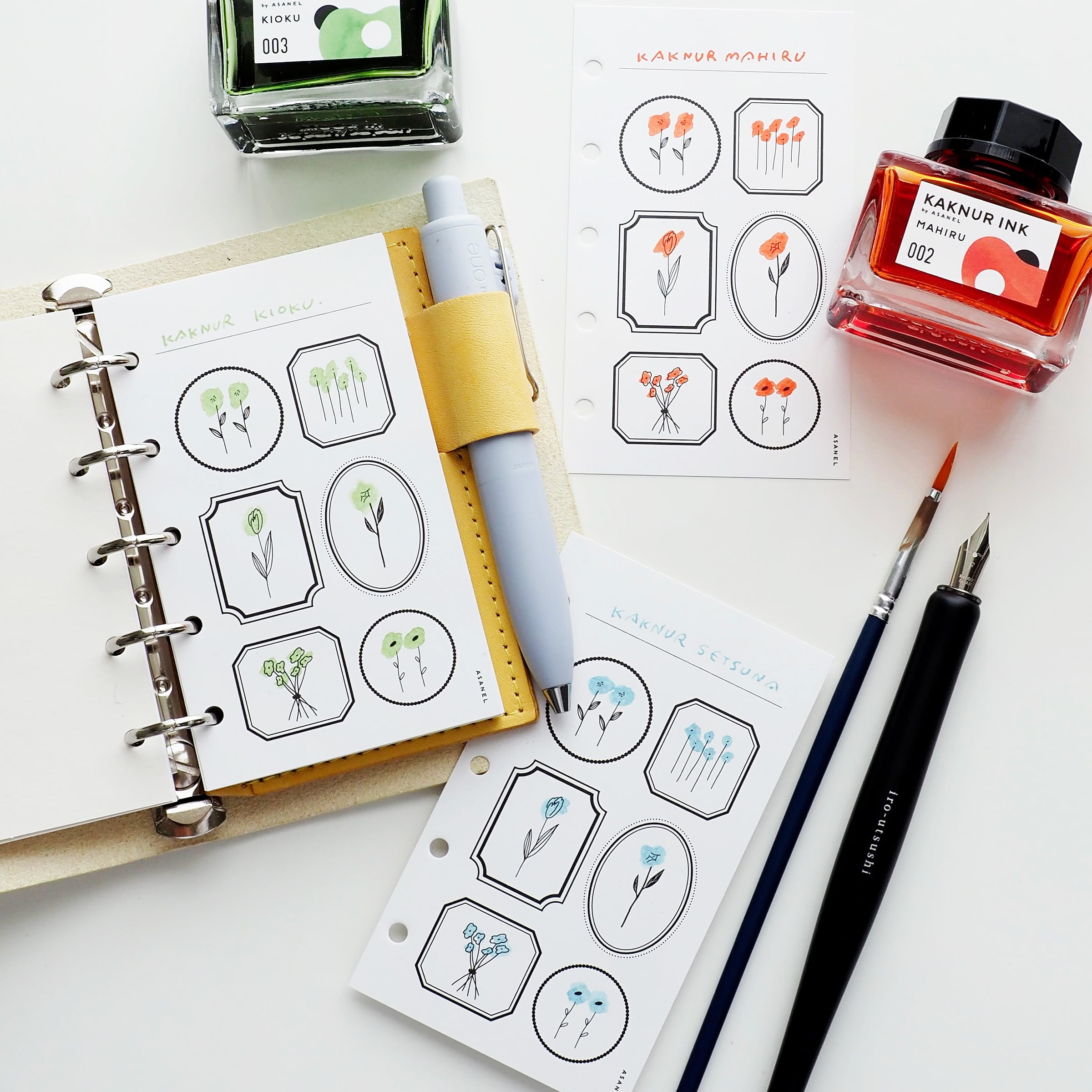 M5 ] NURIE【穴有】・トイリフィル | ASANEL