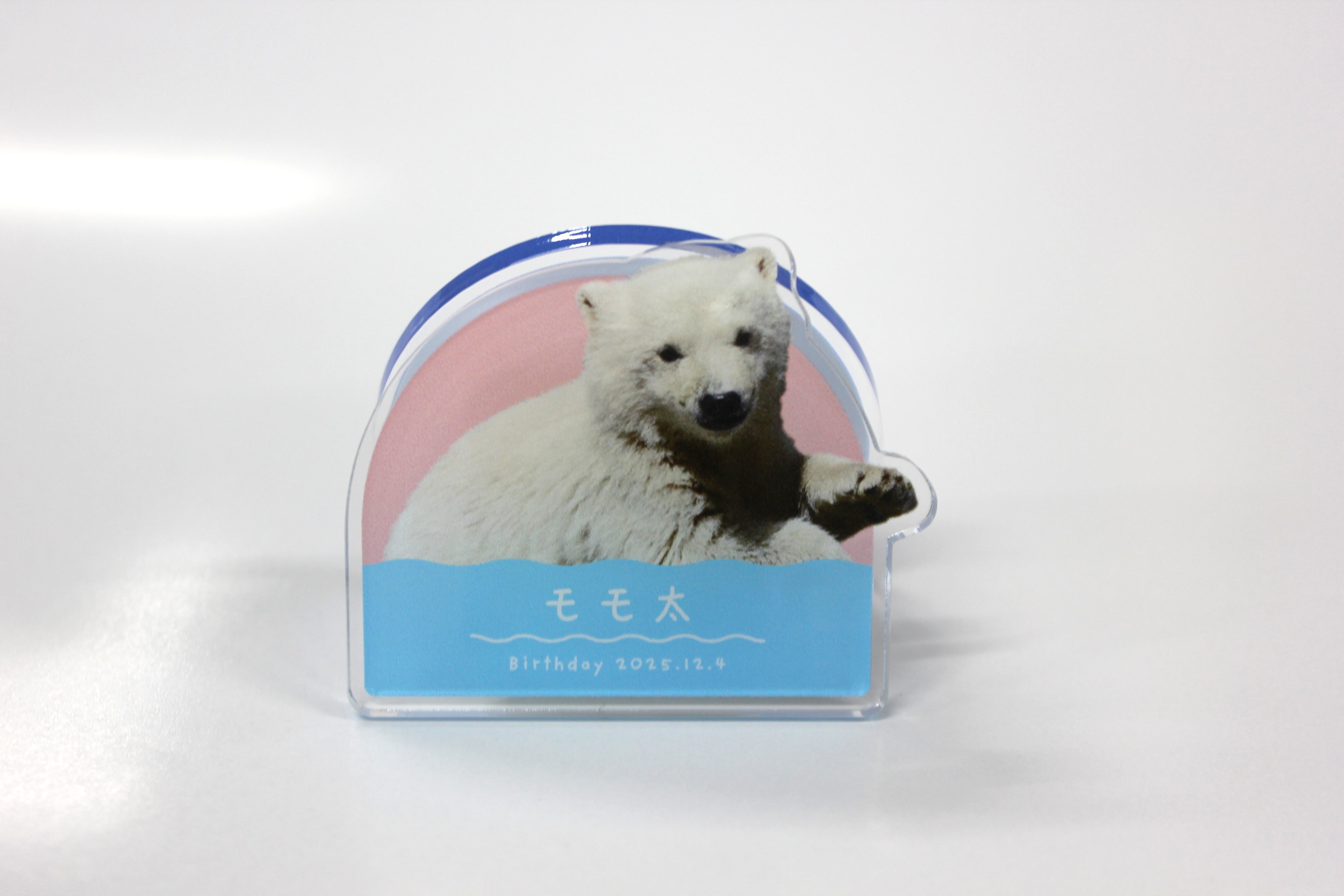 アクリルメモスタンド モモ太 | 男鹿水族館GAO Online Shop