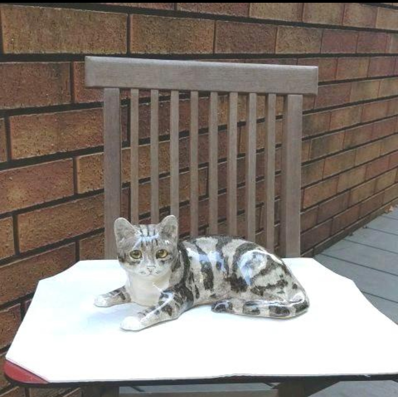 SOLD OUT】❇️美人猫！サイズ「4」ウィンスタンレイキャット