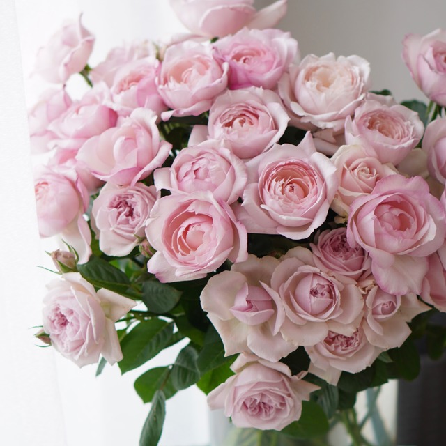 【期間限定】神生バラ園ブーケ。pink roses
