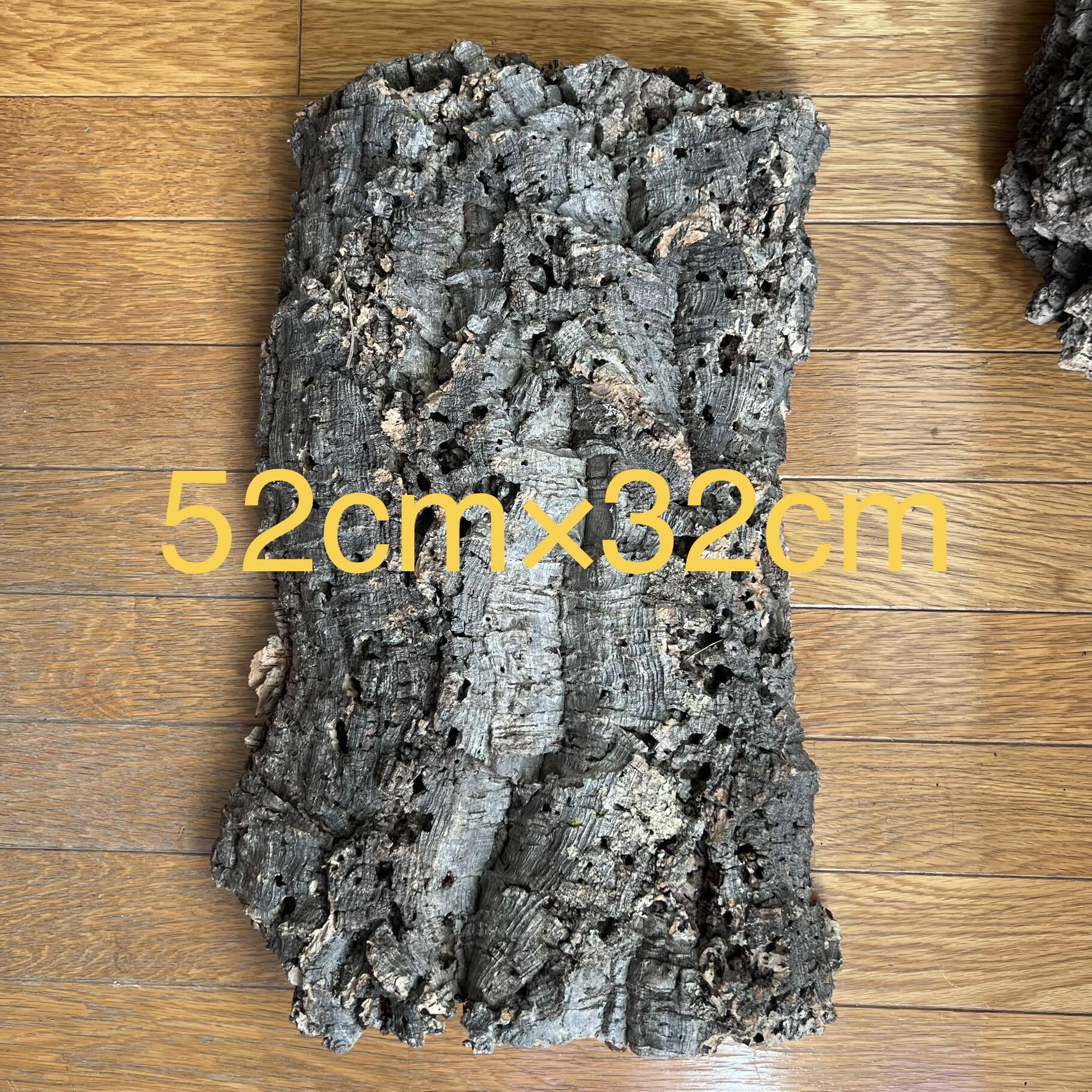 バージンコルク スクエア型 | TwoThree Plants バージンコルク スクエア型 | TwoThree Plants