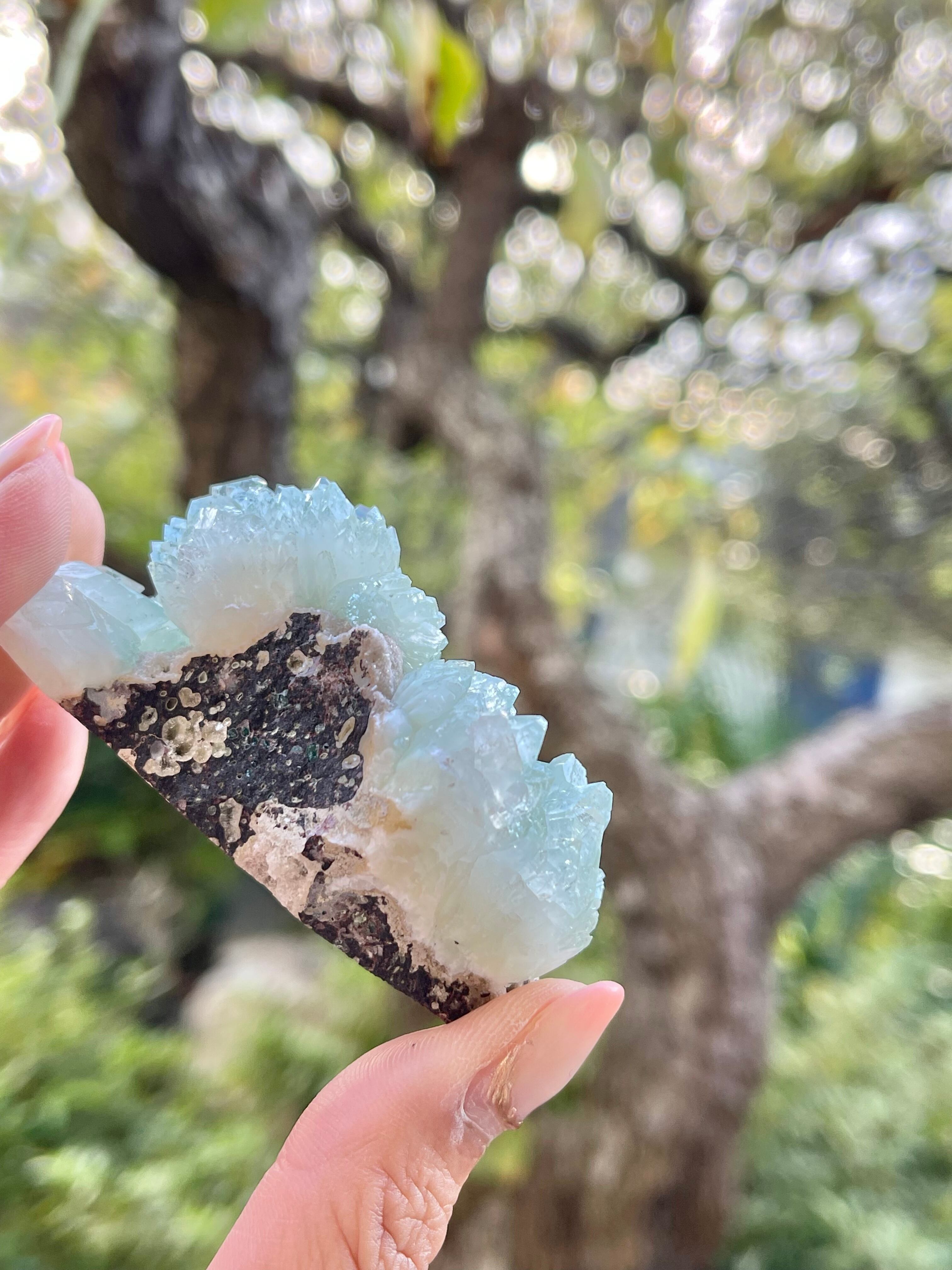 エクストラグレード　グリーンアポフィライト　No.02