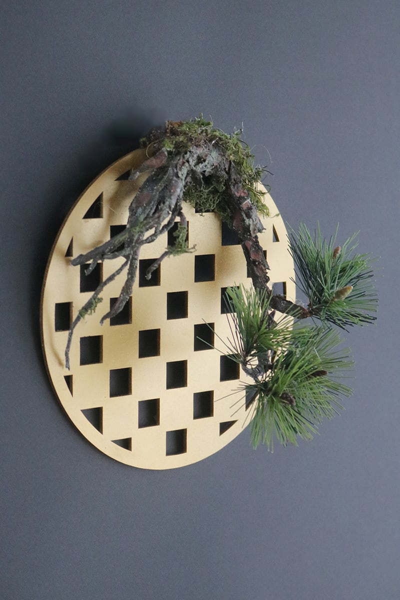 壁掛け松 Pinetree Bonsai #126 | Oh! BONSAI