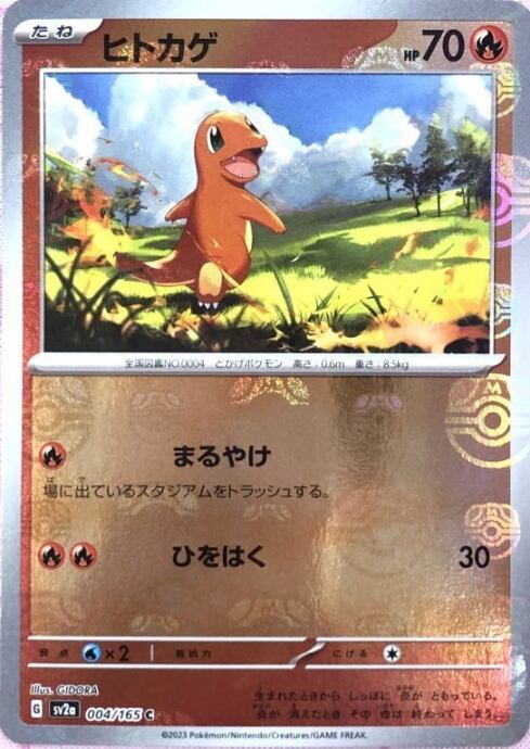 【Aランク】ヒトカゲ(マスターボール(ミラー)