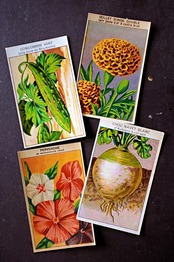 20s フランス 4set 膨満な花々と野菜たち 種子袋用ラベルq アンティーク