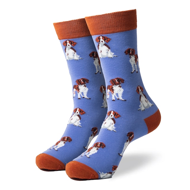 Cavalier socks キャバリア ソックス