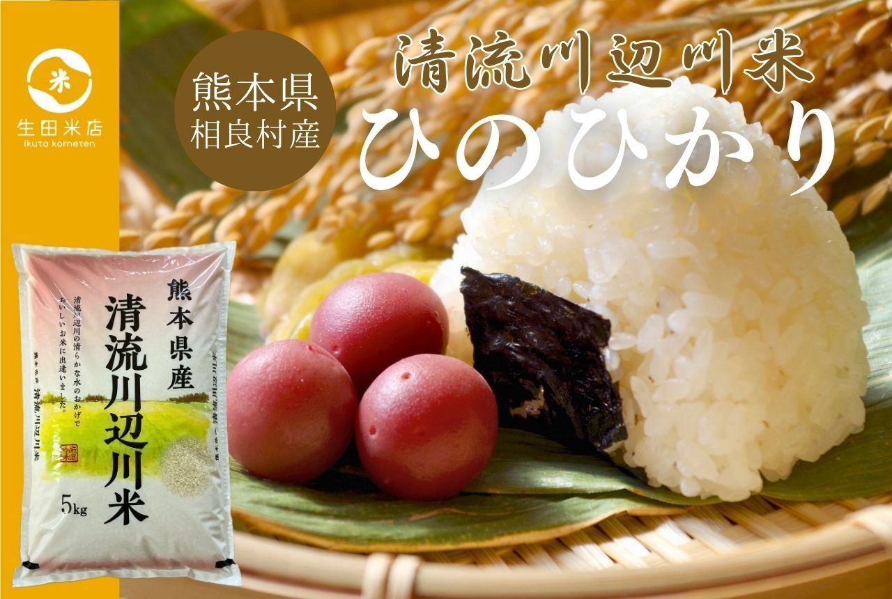 令和7年産新米　清流川辺川米　精白米 ひのひかり5kg