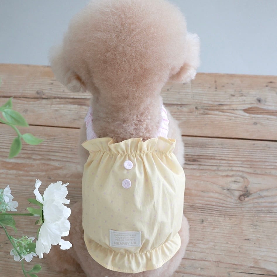 near by us キャリーバッグ 韓国 near by us(ニアバイアス) ペット用品