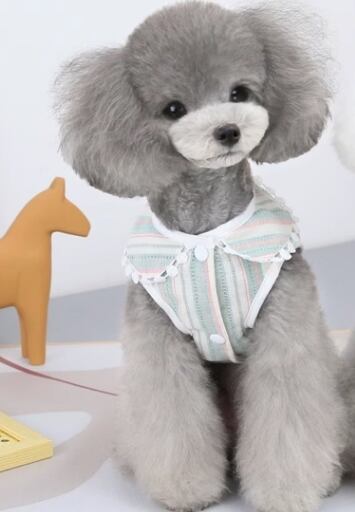 ドッグ 犬 小型犬 ドッグウェア 室内着 ベスト ハーネス スリム ストレート 襟付き 袖無し カラフル スナップボタン かわいい きれいめ シンプル 上品 おしゃれ クール エレガント 主役級 存在感 かっちり ラブリー キュート フェアリー 都会的 ラグジュアリー クラシカル ベーシック プレッピー シンプル フレンチ シック ボーダー ストライプ 柄 オールシーズン シーズンレス 男の子 女の子 成犬 デート お出かけ お泊まり アウトドア 旅行 公園 休日 散歩 ウォーキング 室内 おうち