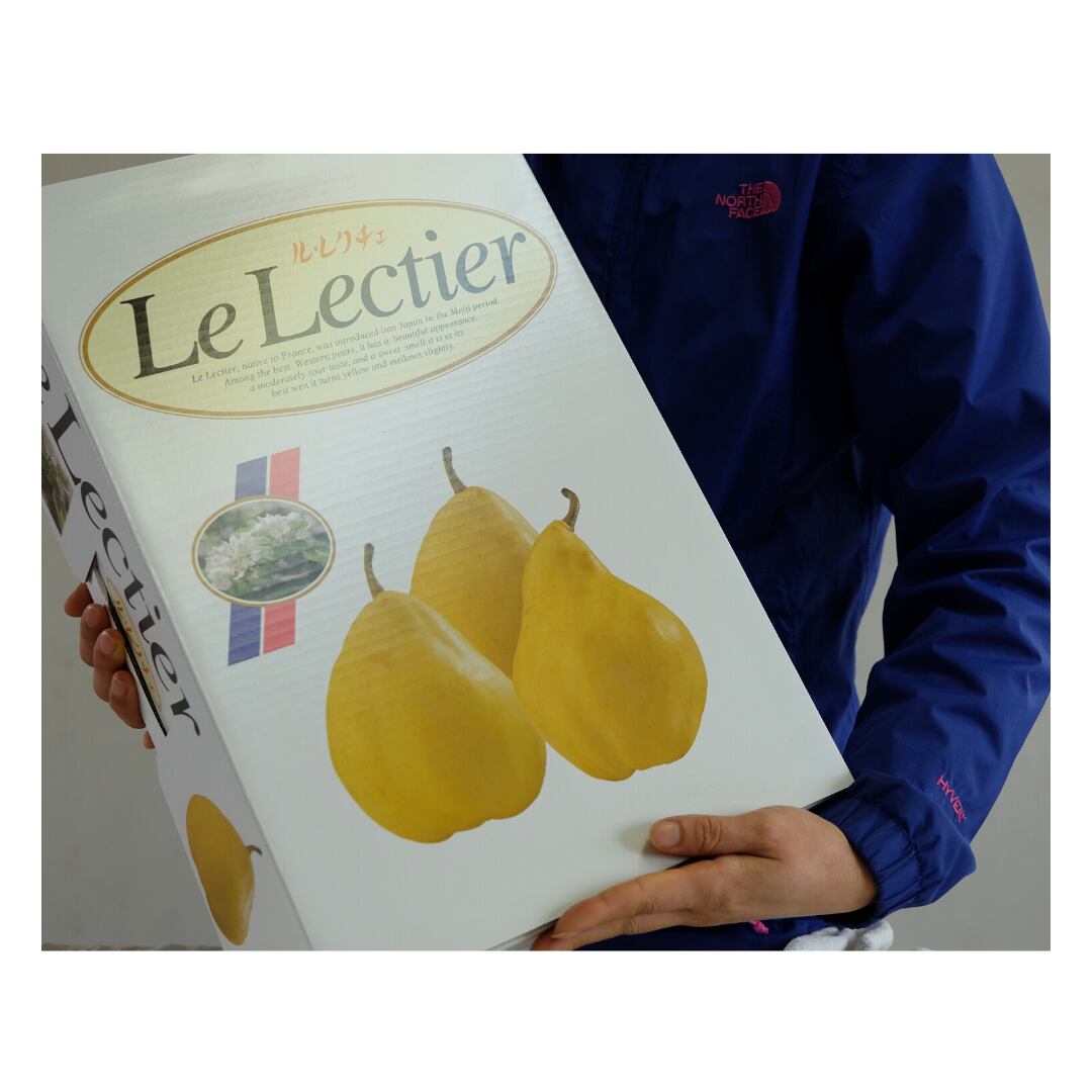 ル・レクチェ 4キロ 贈答用(8玉~12玉)