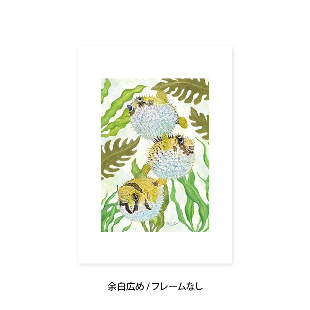 A2｜ぷくぷくハリセンボン（フレームなし）
