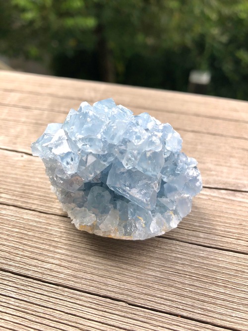 名もなき偉大な探求者