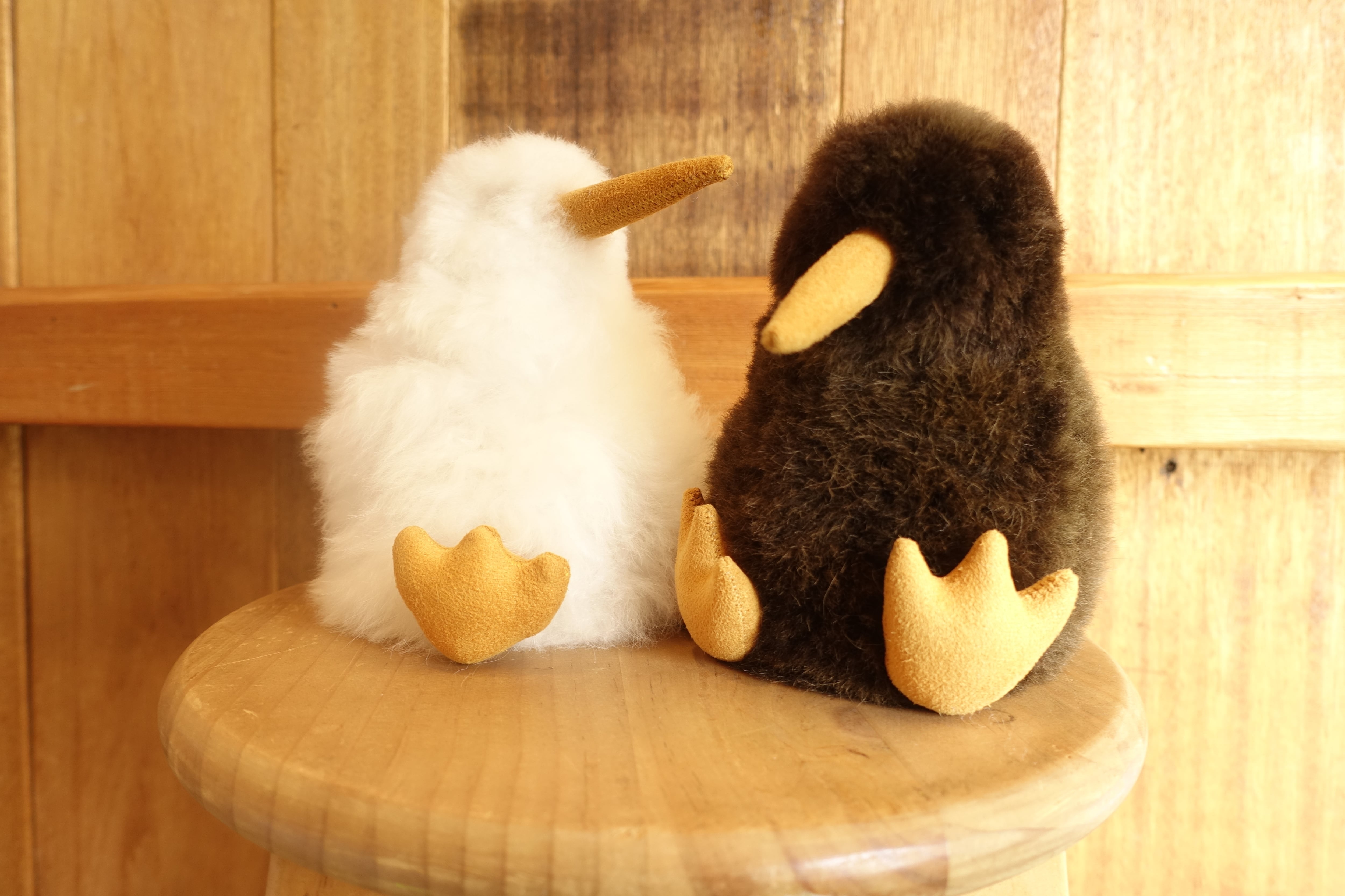 ALPACA SHOP