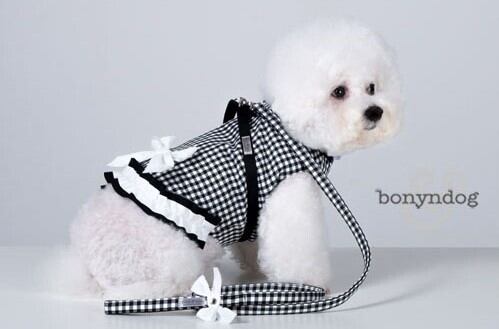 bonyndog【正規輸入】 ハイジチェック　ジャケットハーネス　ブラック 0086