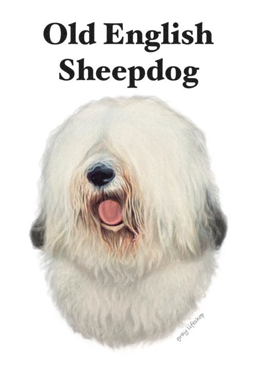 gray original Dog face &breed printed S/S TEE［Old English Sheepdog］