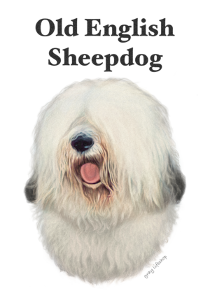 gray original Dog face &breed printed S/S TEE［Old English Sheepdog］
