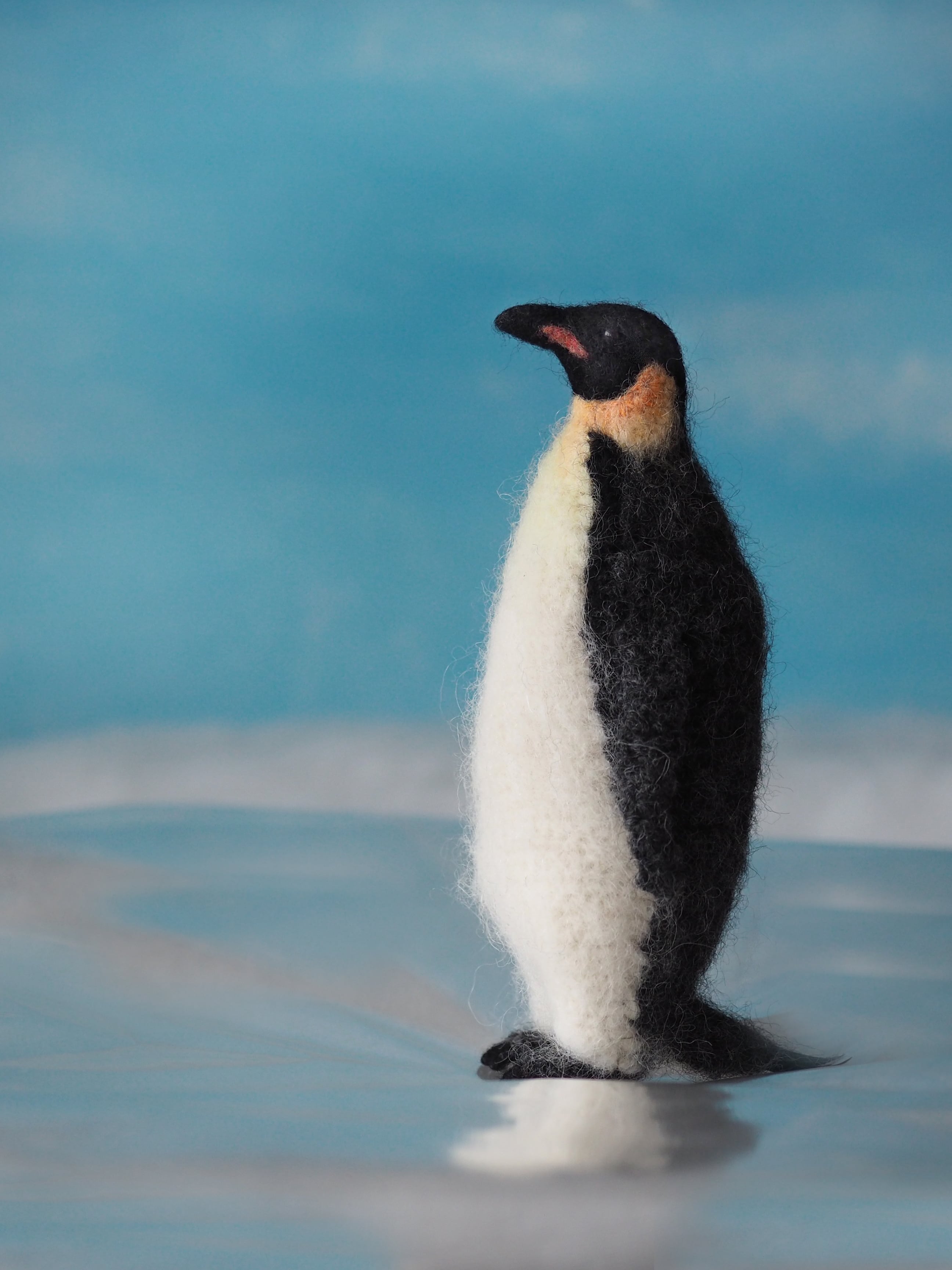テイコウペンギン　女剣士カナン　25th クオシク ANIA AS-11 Emperor Penguin (Floating Ver.) | ANIA Animal