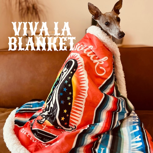 "VIVA LA BLANKET" イタグレサラペブランケット