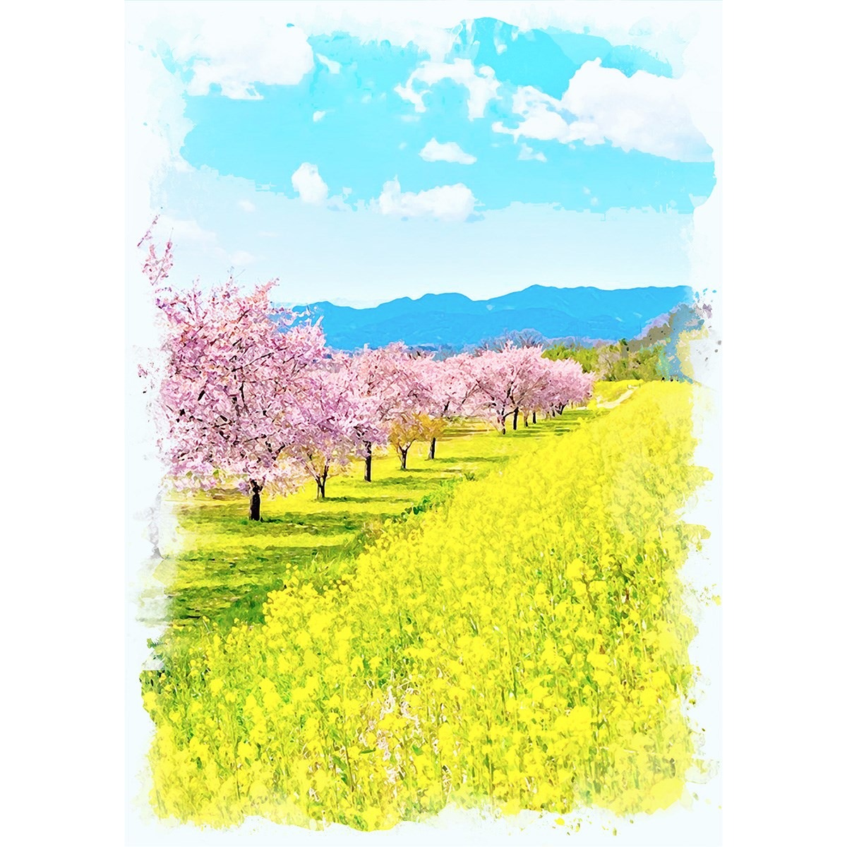 fd0a6fce907ef0fa9c3481f88e7b70 