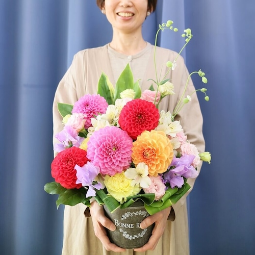 可愛いダリアの宝石箱「ポップダリア」(アレンジ069)