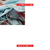 社交ダンス 衣装 Sekine セキネ ツーピース レッスンウェア ブルー系 ピンク系 グリーン系 レッド系 水色 緑 赤 花柄 レース 長袖 スタンダード モダン 練習着 セットアップ 上下セット トップス スカート レオタード 薔薇 バラ パーティドレス ダンスパーティー ステージ衣装 舞台衣装 発表会 日本製 スタンダードダンス モダンダンス 練習用 バラ柄 薔薇柄 花柄レース レース生地 ダンスレオタード ロングスリーブ 背面ファスナー スカート付き 青系 水色系 赤系 緑系