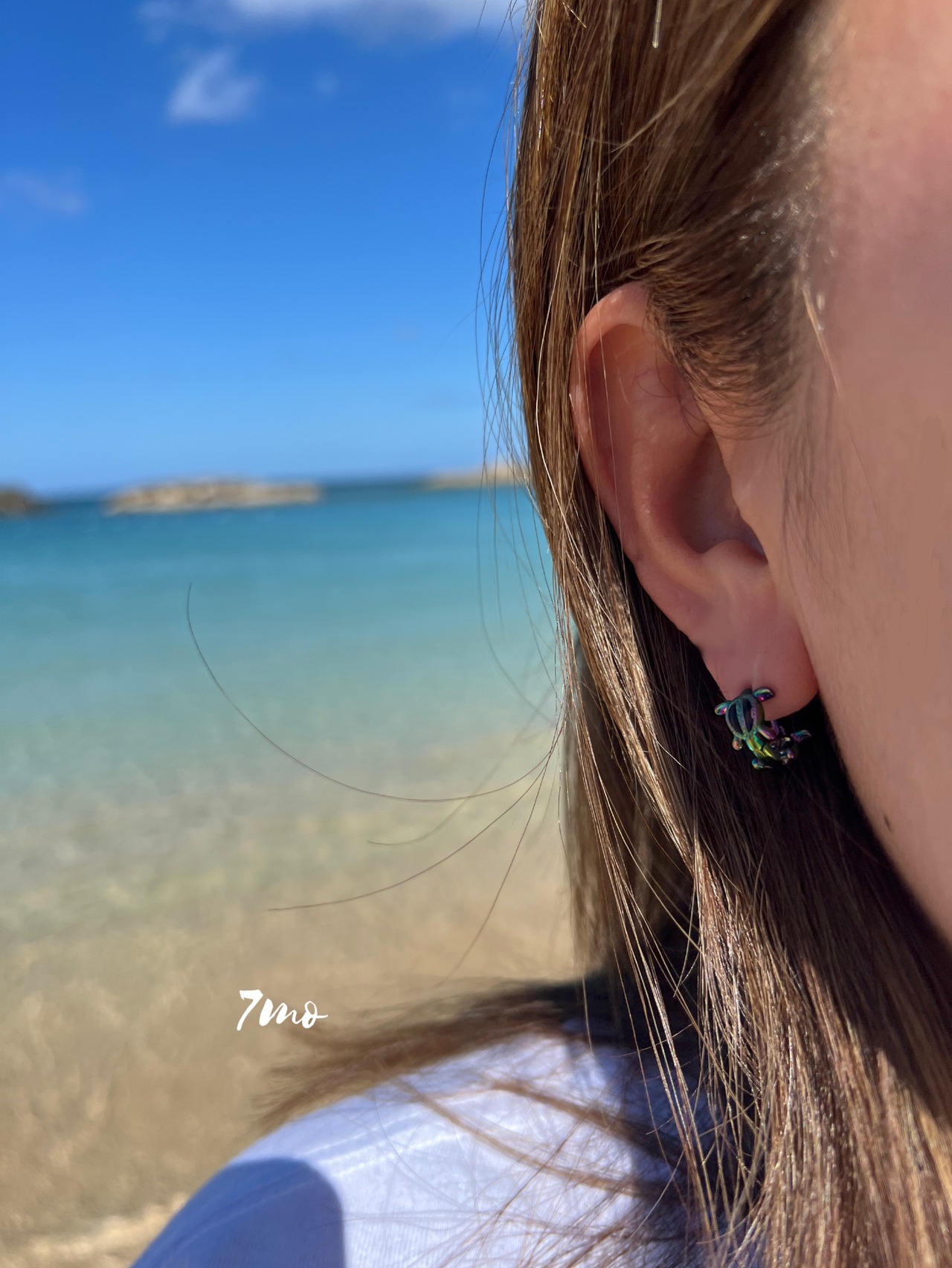 316Lホヌフープピアス（片耳1個売り）