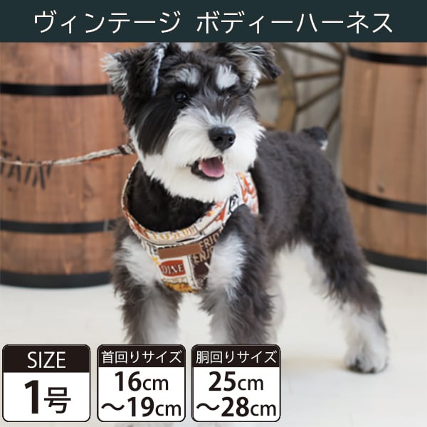 【受注生産品】Toto&Pal(トトパル) ボディーハーネス・ヴィンテージ(1号)