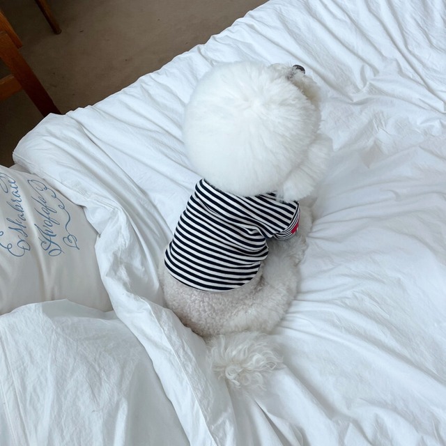 【予約】［Little  Heart］Heart saint stripe t-shirt