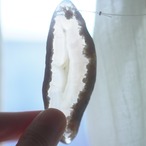 Soda Ice cream 02 - アゲートヒーリングチャイム / Agate Sun Catcher Wind Chime 163