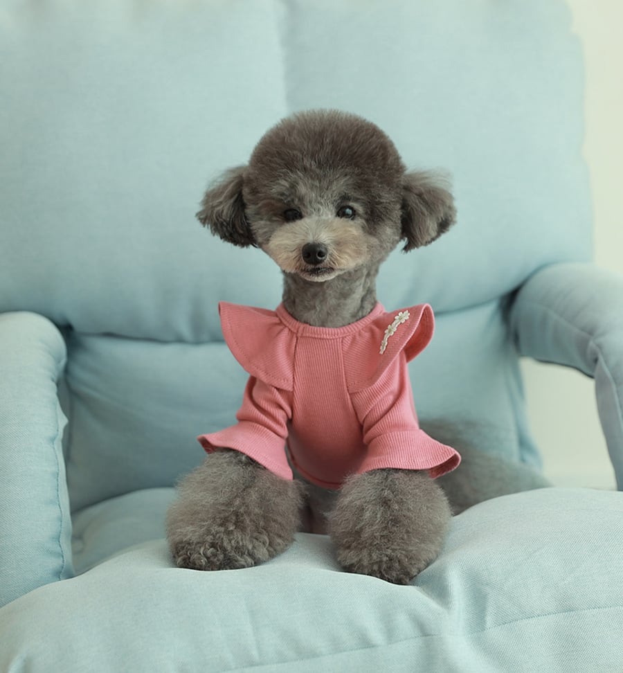 purina t-shirt S ~ XL 4color  /  犬服 秋冬 Tシャツ ブラウス 上品 可愛い ワンコ服 ストレッチ 犬の服 長袖 無地 ドッグウェア フリル シンプル ニット お揃い ハイネック 韓国ワンコ服 小型犬 中型犬